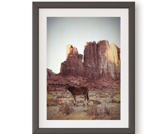 Monument Valley Photography Print: Southwestern Desert Landscape