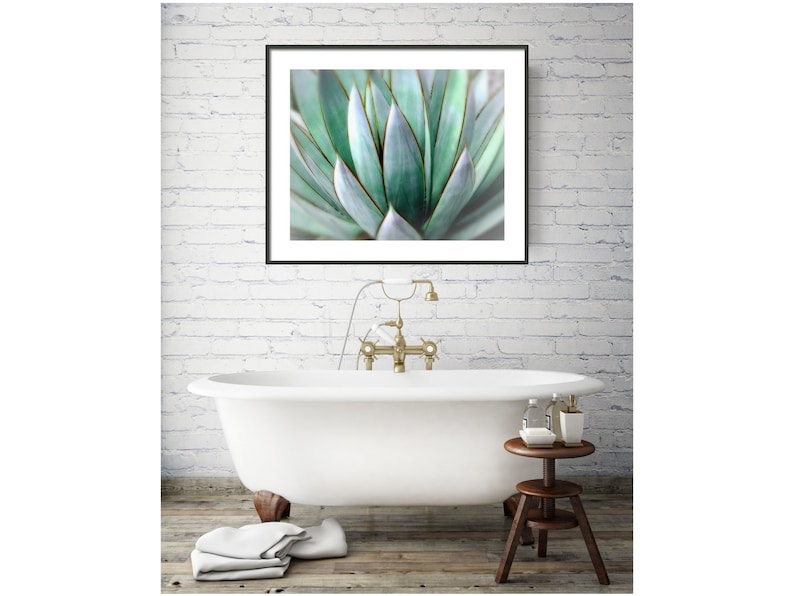 Stampa fotografica di agave: Southwest Decor Wall Art (download digitale) immagine 5