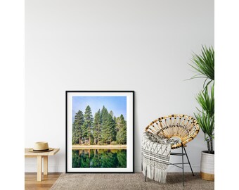 Lake Tahoe Print: Emerald Bay Pine Tree Art