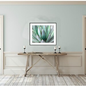 Stampa fotografica di agave: Southwest Decor Wall Art (download digitale) immagine 6