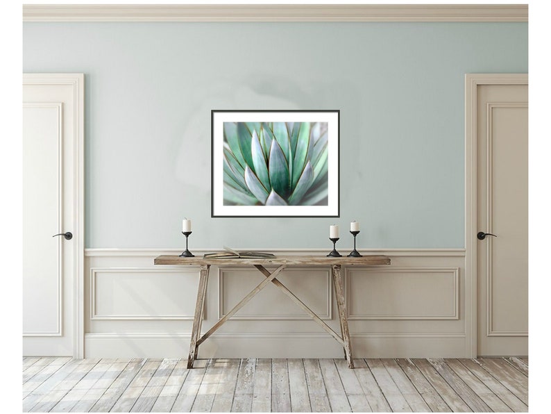 Stampa fotografica di agave: Southwest Decor Wall Art (download digitale) immagine 6