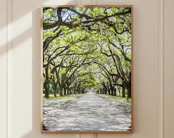 Savannah Georgia Tree Tunnel Print: Southern Landscape Photography