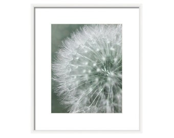 Dandelion Macro Photography: Dreamy Ethereal Flower Wall Art