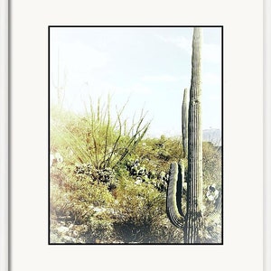 Cactus Photography Prints: Southwest Wall Art, Set of 3 immagine 7