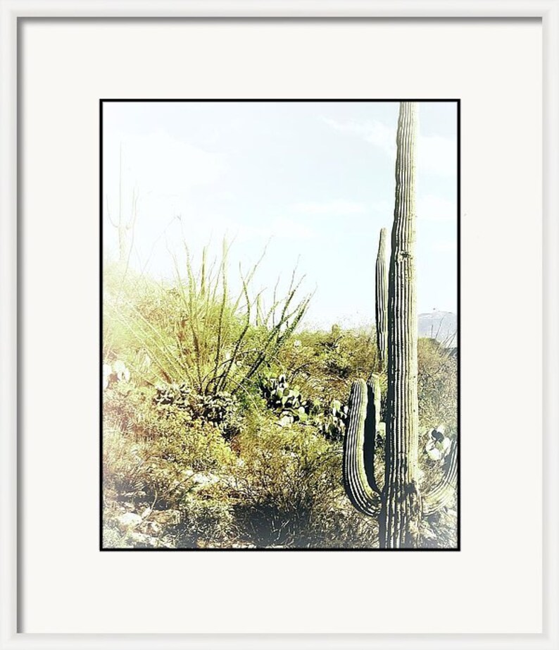 Cactus Photography Prints: Southwest Wall Art, Set of 3 immagine 7