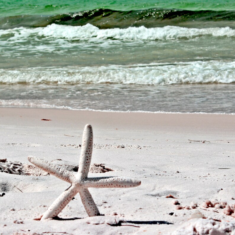 Florida Photography 30A Florida Gallery Wall Prints Etsy