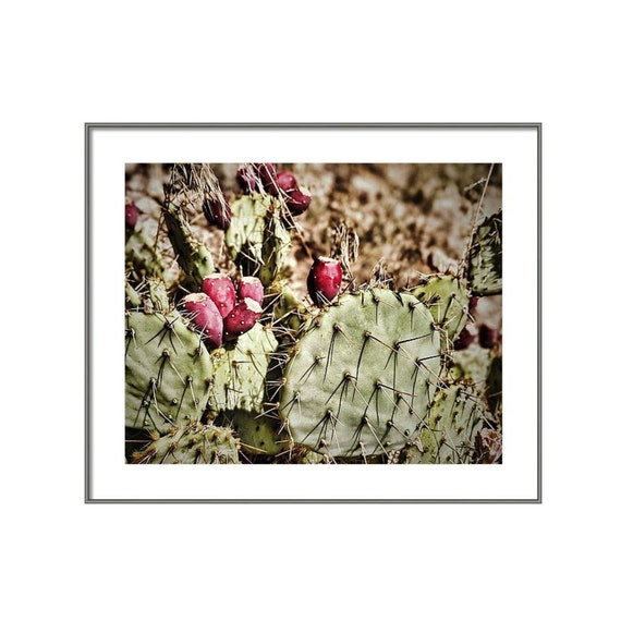 New Mexico Photography Prickly Pear Photograph Southwest Etsy