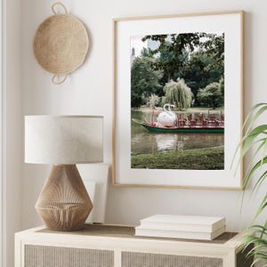 Boston Swan Boat Print: Public Garden Willow Tree Art