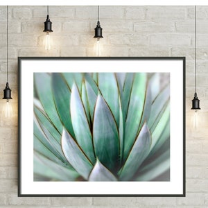 Stampa fotografica di agave: Southwest Decor Wall Art (download digitale) immagine 4