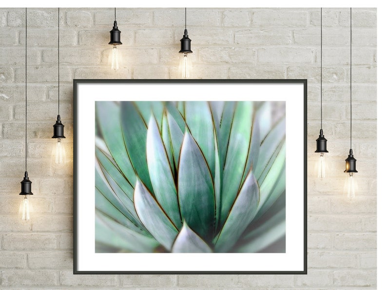 Stampa fotografica di agave: Southwest Decor Wall Art (download digitale) immagine 4