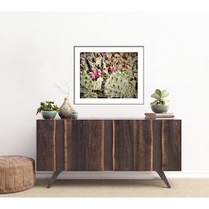 New Mexico Photography, Prickly Pear Photograph, Southwest Photo, Santa Fe Photography