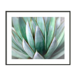 Sukkulente Fotografie, Agave Wandkunst, Südwesten Dekor, Südwesten Wandkunst, Makro Sukkulente, Sofort Download
