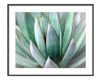 Succulent Photography, Agave Wall Art, Southwest Decor, Southwest Wall Art, Macro Succulent, Instant Download