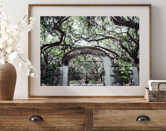 Savannah Wall Art, Wormsloe Historic Site, Live Oak Tree Canopy, Savannah Print