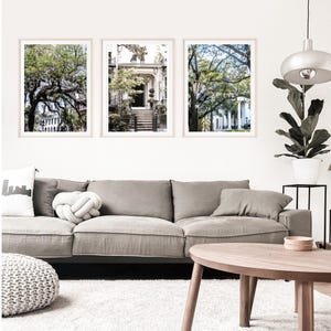 Savannah Wall Art, Savannah Print, Set of Three Prints, Live Oak Print