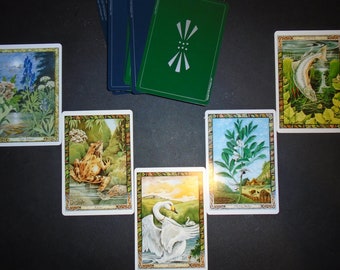 Lectura druídica de plantas y animales: cartas. NO ESTÁN A LA VENTA.