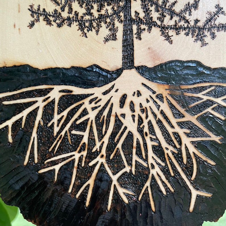 Wood Burned Pine Tree Roots, Tree of Life, Live Edge Wood Slice, Pine Tree Art, Tree Decor, Boho Decor, Pyrography Tree of Life, Ecofriendly image 5