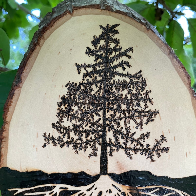 Wood Burned Pine Tree Roots, Tree of Life, Live Edge Wood Slice, Pine Tree Art, Tree Decor, Boho Decor, Pyrography Tree of Life, Ecofriendly image 2