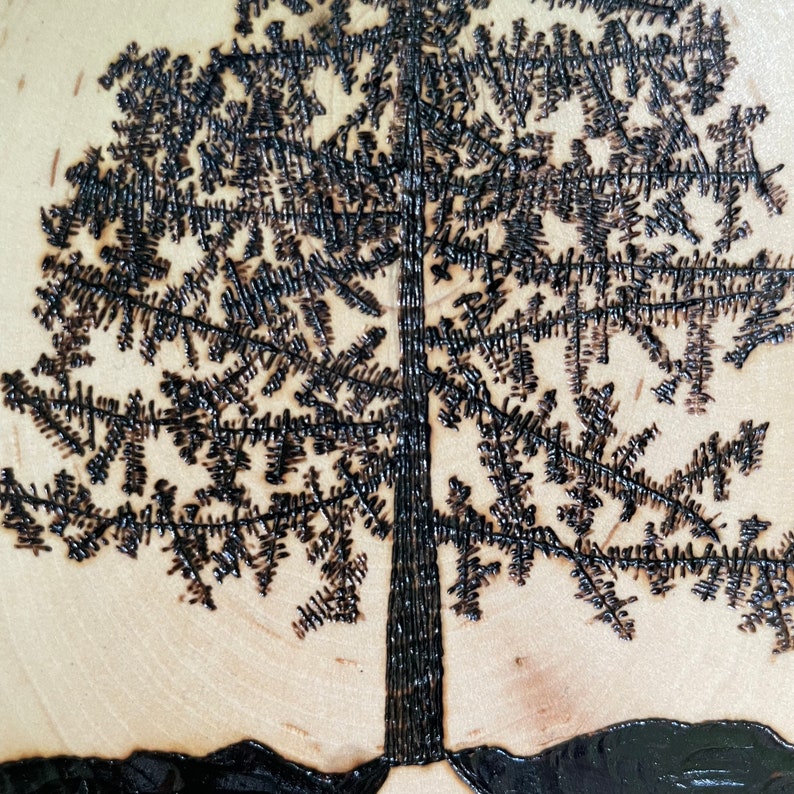 Wood Burned Pine Tree Roots, Tree of Life, Live Edge Wood Slice, Pine Tree Art, Tree Decor, Boho Decor, Pyrography Tree of Life, Ecofriendly afbeelding 4