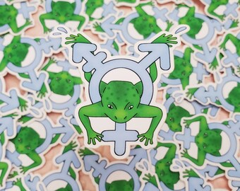 Trans Frog Sticker