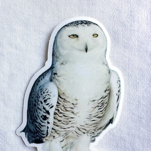 Snowy Owl Painting Sticker, Hedwig Sticker, Vinyl, 2&quot;x 3&quot;, Dishwasher Safe