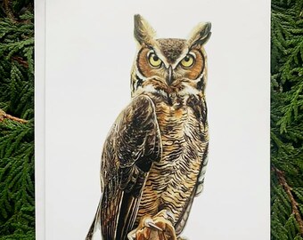 Gufo reale - Set da 6 - Biglietti d'auguri da 5 x 7 pollici