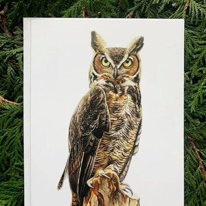 Hibou grand duc - Lot de 6 - 5 x 7 pouces Cartes de voeux