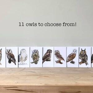 Pu&ograve; includere: Un set di 11 carte con illustrazioni di diversi gufi. Le carte sono bianche con un bordo nero e sono disposte in fila su una superficie di legno. Il testo "11 owls to choose from!" &egrave; scritto sopra le carte.