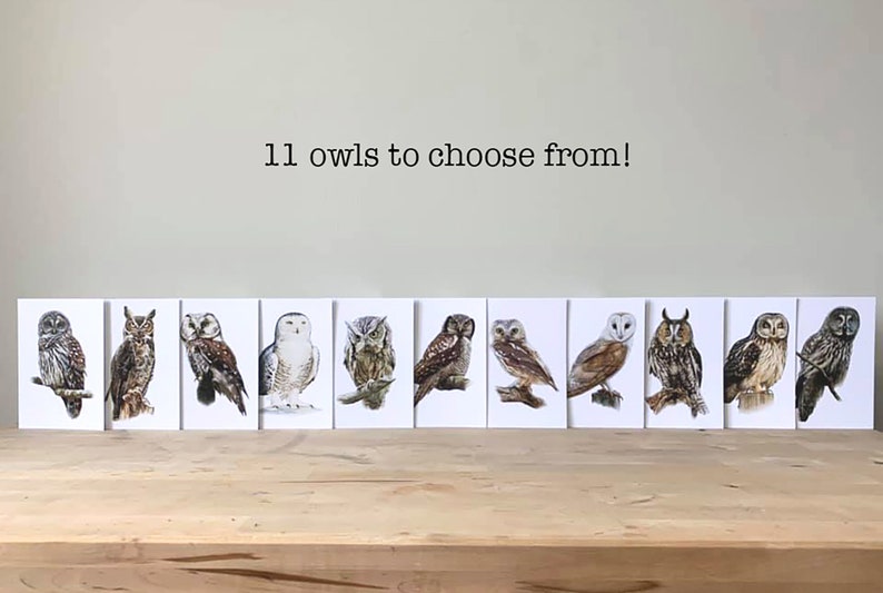 Pu&ograve; includere: Un set di 11 carte con illustrazioni di diversi gufi. Le carte sono bianche con un bordo nero e sono disposte in fila su una superficie di legno. Il testo "11 owls to choose from!" &egrave; scritto sopra le carte.