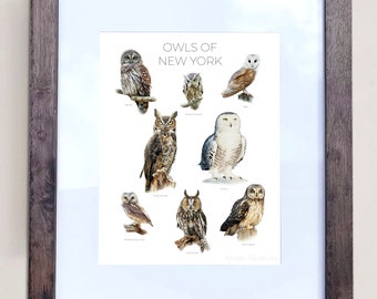 Búhos de Nueva York: impresión de 8 pinturas al óleo de búhos