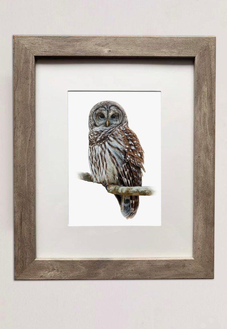 May include: A framed print of a barred owl perched on a branch. The owl has brown and white feathers and yellow eyes. The frame is a light brown wood.