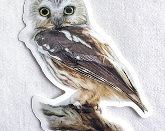 Nördliche Säge Whet Malerei Aufkleber, Vinyl, 6,5 cm x 3 Zoll, spülmaschinenfest