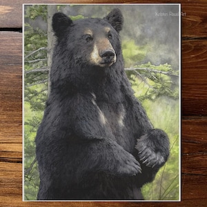 Bear Necessities - Watercolor and Ink Painting Print of a Black Bear on Luxury Textured Paper