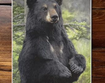 Bear Necessities - Watercolor and Ink Painting Print of a Black Bear on Luxury Textured Paper