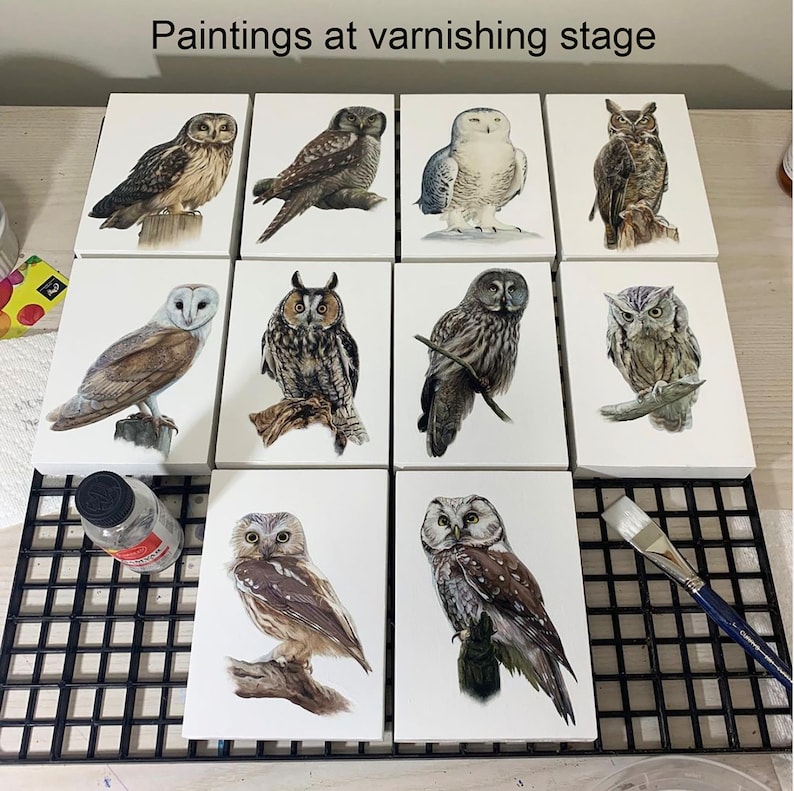 May include: Ten framed paintings of owls in various poses and colours, including brown, white, grey, and black. The paintings are on a white background and are arranged in two rows of five. The paintings are at the varnishing stage, and a brush and bottle of varnish are visible in the foreground.