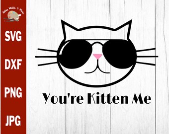 Cool As A Cat Clothing Co Gatto Italiano Funny Italian Cat Wearing Sunglasses Throw Pillow 16x16 Multicolor Cool As A Cat Clothing Co Gatto Italiano Funny Italian Cat Wearing Sunglasses Throw Pillow 16x16 Multicolor