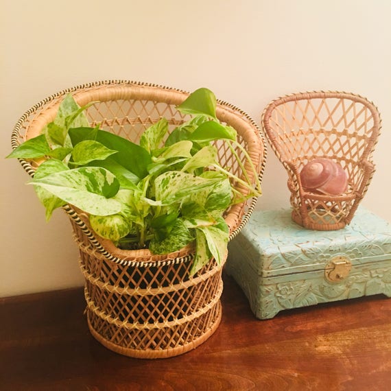 mini wicker chair