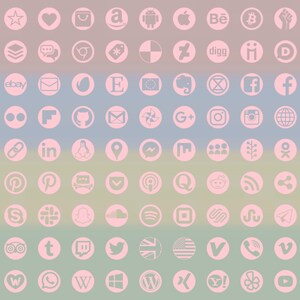 Icone dei social media, tipi 98 +13 +18, trasparenti su rosa, forma del disco, immagini bitmap e vettoriali