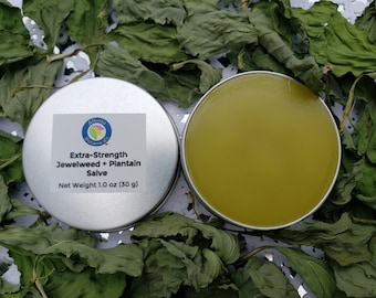 CUSTOMER FAVORITE! Extra-Strength Jewelweed + Plantain Salve | Vegetarian | Turmeric CO2 Extract