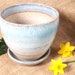 see more listings in the Planters and saucers section