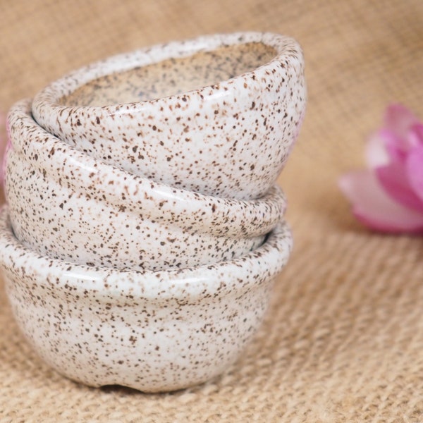 Mini Bonsai display pot set, ceramic, Keshitsobu