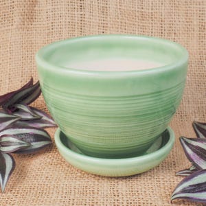 May include: A light green ceramic planter with a matching saucer. The planter has horizontal etched lines around the exterior. The background is a burlap texture. Purple and green striped leaves are on the left and right.