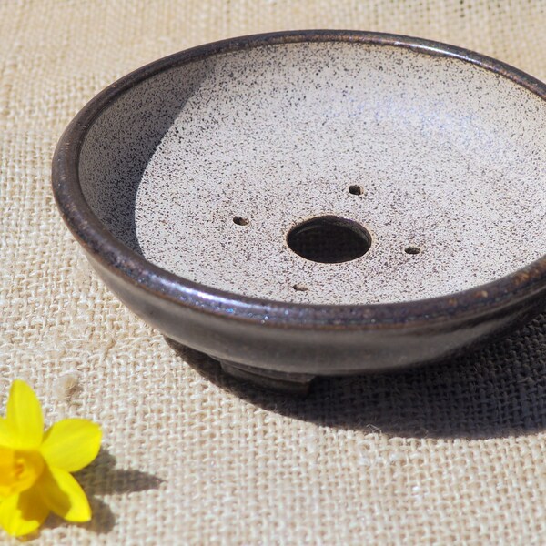 Bonsai planter, Shohin, stoneware