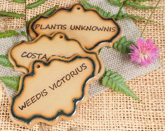 Étiquettes humoristiques pour plantes, lot de 3