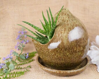 Jardinière Olive Speckle Yard Byrd