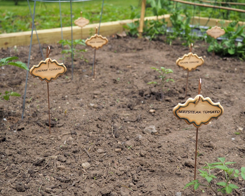 SINGLE vegetable marker, garden marker, handmade pottery image 4