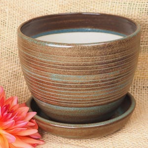May include: A round ceramic planter with a matching saucer, featuring a brown exterior with horizontal ribbed textures and subtle teal green accents. The interior of the pot is smooth and white, with a dark brown rim at the top edge.