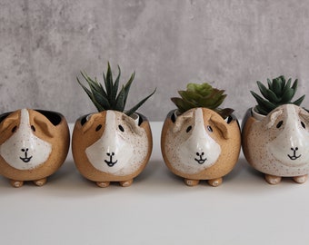 Guinea pig Planter with Drainage - Succulent Planter Gift - Flower Pot - Succulent Lover- Modern Handmade -Plant/Succulent/Indoor Garden