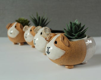 Guinea pig Planter with Drainage - Succulent Planter Gift - Flower Pot - Succulent Lover- Modern Handmade -Plant/Succulent/Indoor Garden