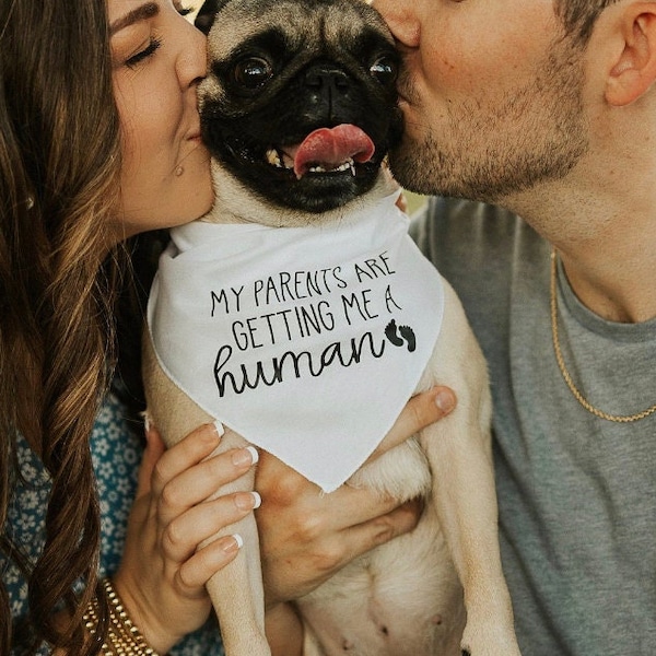 my parents are getting me a human- baby announcement idea for dog- dog bandana for large medium and small dogs- pregnancy reveal pet bandana